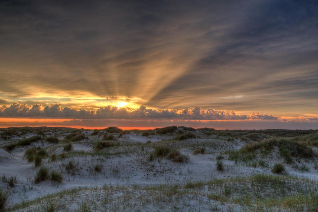Zeelucht Texel Villa De Koog  Bagian luar foto