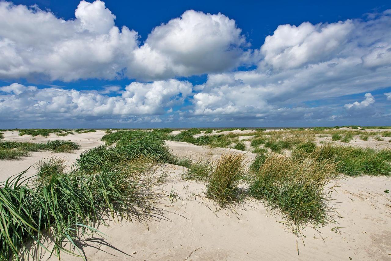 Zeelucht Texel Villa De Koog  Bagian luar foto