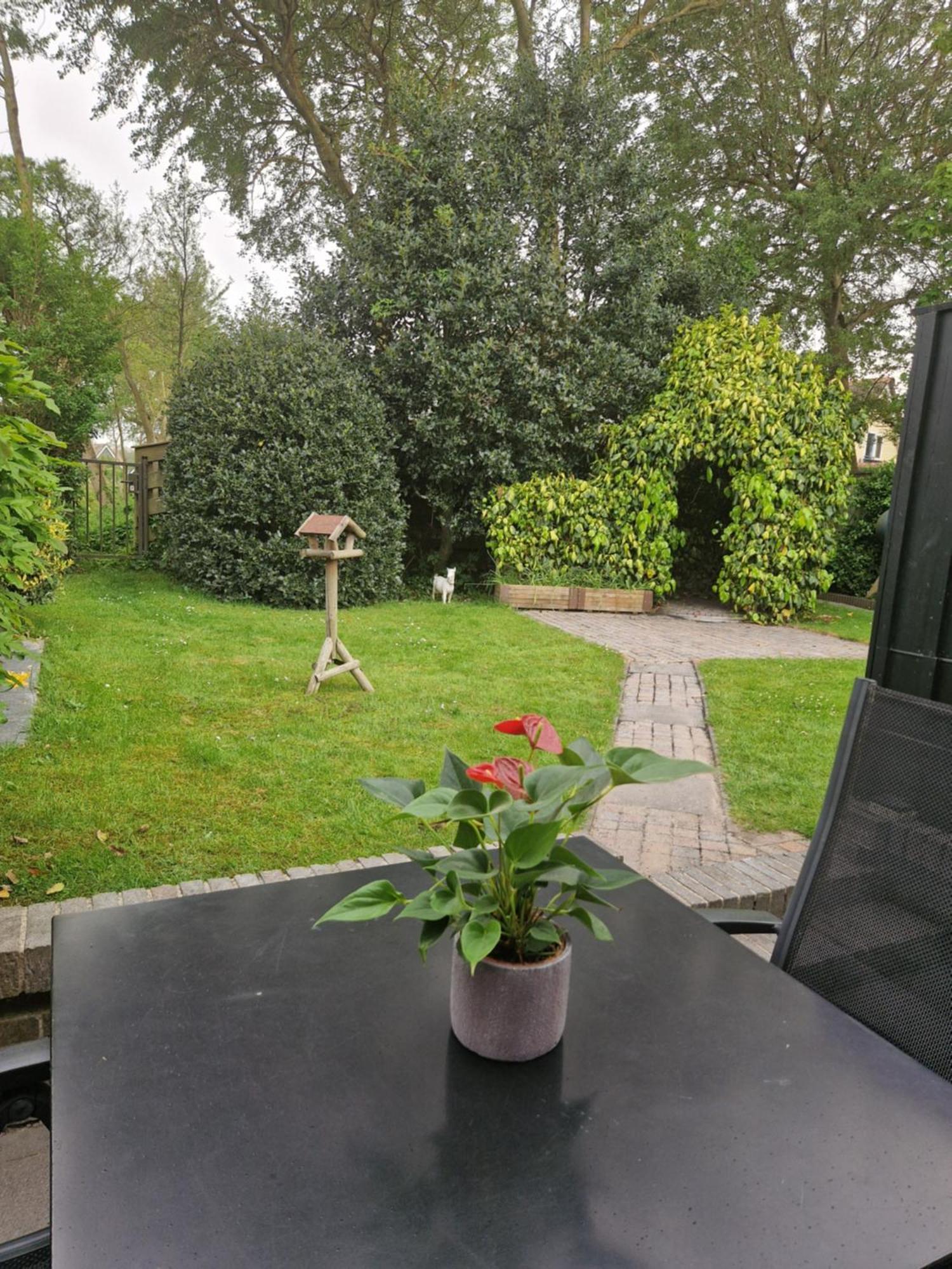 Zeelucht Texel Villa De Koog  Bagian luar foto