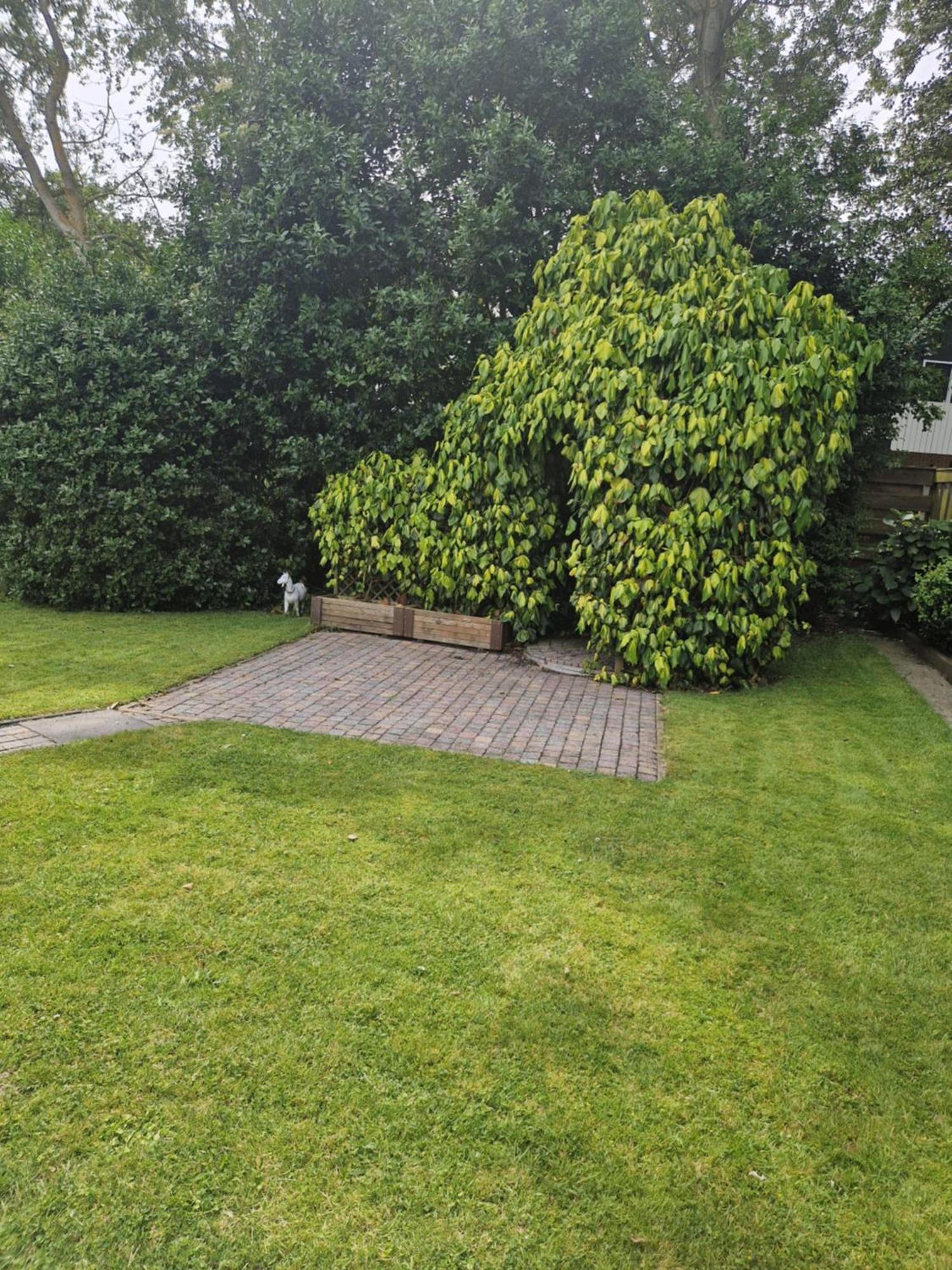 Zeelucht Texel Villa De Koog  Bagian luar foto